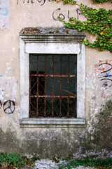 Fototapeta na wymiar Old window with rusty bars and plant background