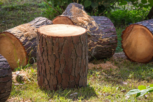 heap of sawn pine wood logs with rough pine bark closeup view