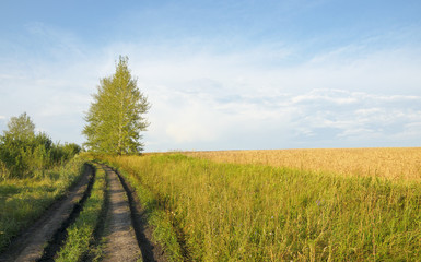 Summer landscape.Countryside road in Tula region in Russia.