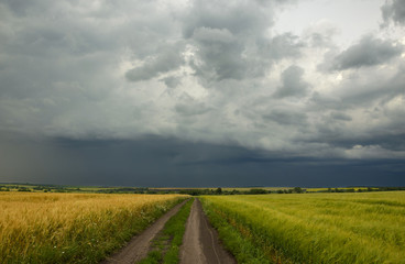 Fototapeta na wymiar Before the storm.Countryside road in Tula region in Russia.