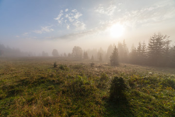 Fog over mountain range in sunrise light.