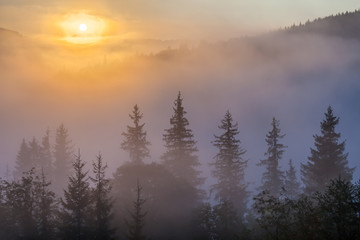 Fog over mountain range in sunrise light.
