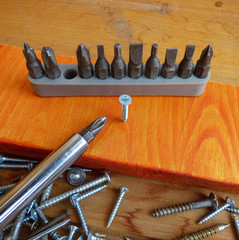 Screws, screwdriver and set of bits (heads). Selected focus.