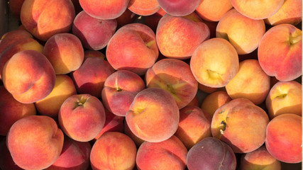 Peaches © JonikFoto.pl