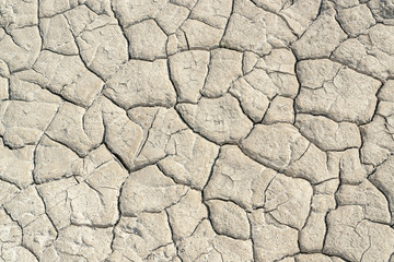 dry soil surface