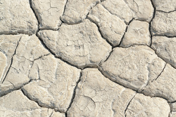 dry soil surface