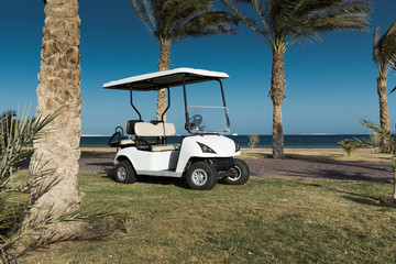 White Golf Electric Car on the lawn
