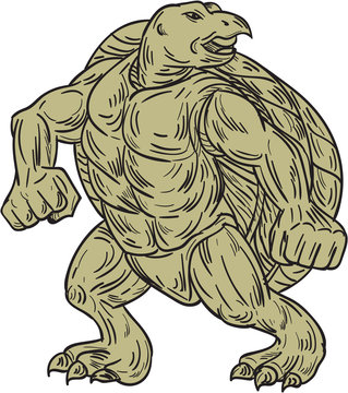 Ridley Sea Turtle Martial Arts Stance Drawing