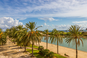 Fototapeta na wymiar Beuatiful view of Mallorca city, Balearic Islands, Spain