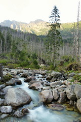 mountains and water