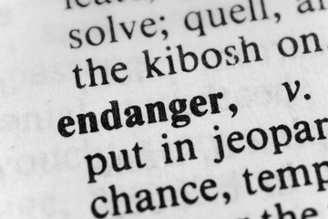 Obraz premium Endanger