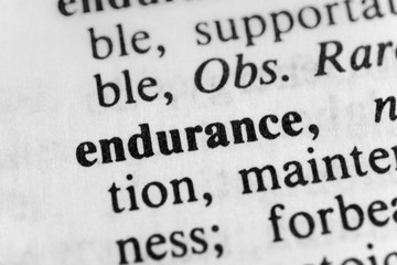 Obraz premium Endurance