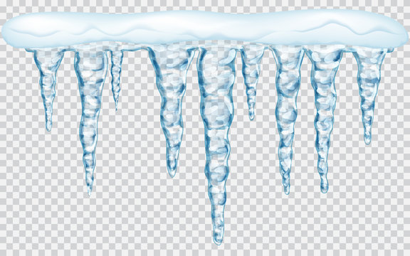 Hanging icicles with snow on transparent background. Transparency only in vector file