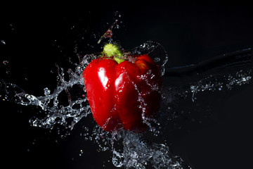 Fresh red paprika with water splash on black