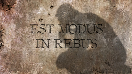 Est modus in rebus. A Latin phrase meaning There is a proper measure in things.