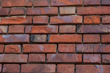 Background of bricks