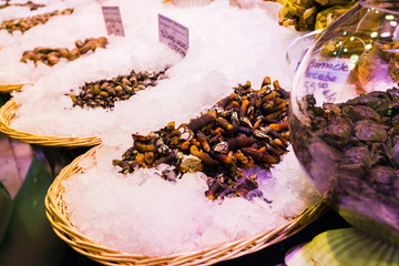 Countertop with various fresh seafood in Boqueria market. Barcelona. Barnacle, shells beautifully laid out on ice in wicker baskets on the counter.