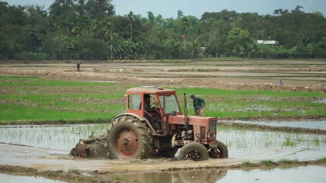 Tractor is leveling a ground with water slowly on the agricultural land of vietnamese village in summer sunny day
