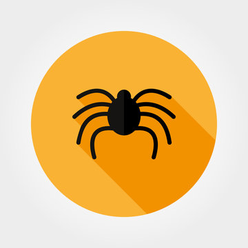 Spider. Vector icon.