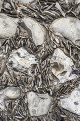 Shale and pebble wall