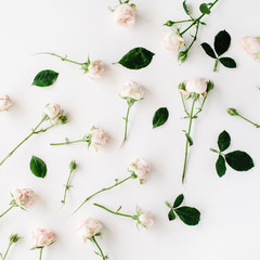 Roses on white background. Flat lay, top view