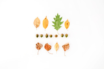 autumn fall flat lay, top view creative arrangement.