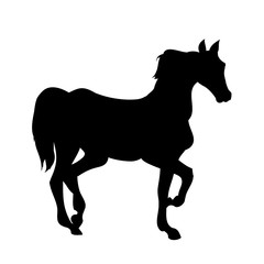 Horse silhouette allure
