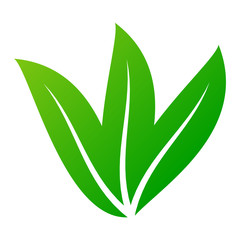 Leaf icon vector illustration.
