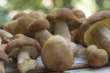 mushrooms lie on a wooden background, autumn, cooking recipe
