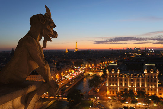 Chimeras of Notre Dame