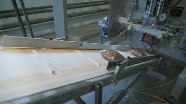 Food industry. bags of buckwheat groats on the conveyer to go dalnayshey packing and shipping to stores.