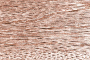 Texture of wood background closeup / Wood material background for Vintage wallpaper / 
Brown  wooden texture