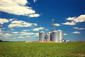 Farm tin silos storage towers in green crops view