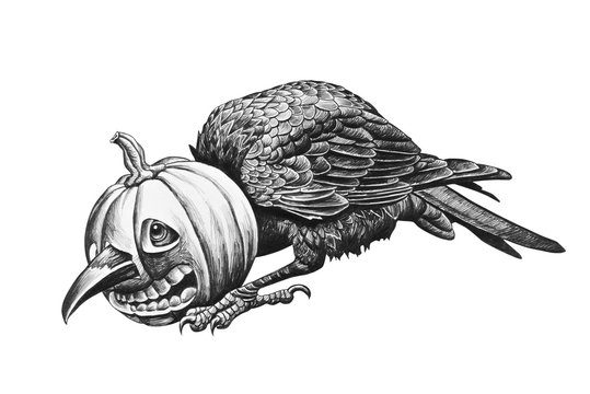 Raven head stuck in a pumpkin.