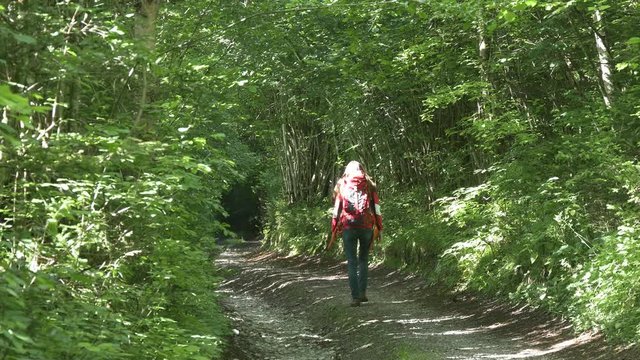 Woman hiking with backpack in green forest