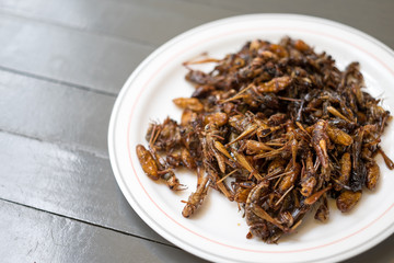 Fried insects
