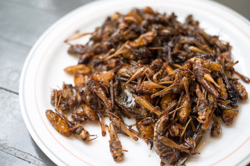 Fried insects