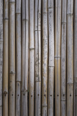 A bamboo texture.
