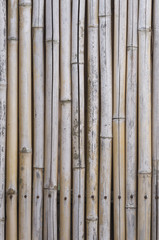 A bamboo texture.
