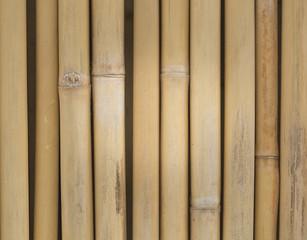A bamboo texture.
