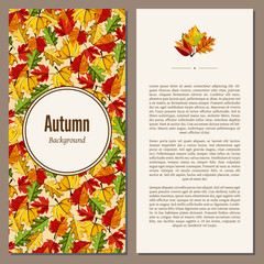 Fototapeta premium Banners set of autumn leaves vector illustration. Background with hand drawn autumn leaves. Design elements. Autumn leaves fall on banner.