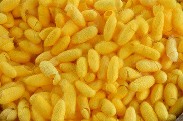 Soft blurred and soft focus of the yellow cocoon ,Thai silk on the basket.