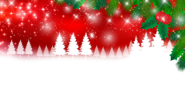 クリスマス　雪　モミの木　背景