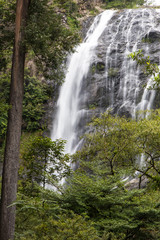 Fototapeta premium Waterfall near trees.