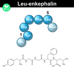 Obraz premium Leu-enkephalin molecule and model