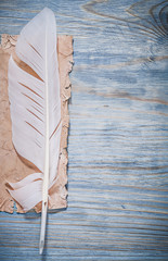 Set of vintage paper feather on wooden board