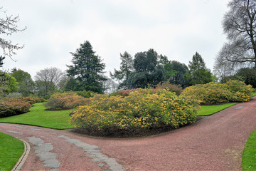 Fototapeta premium Series of views, flowers and buildings of the Royal Botanic Garden Edinburgh, Scotland.