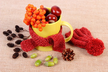 Autumn decoration with cup wrapped scarf and woolen cap on burlap
