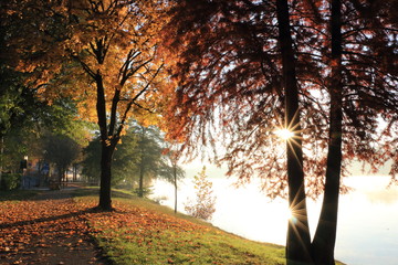 Vista autunnale Lago Maggiore