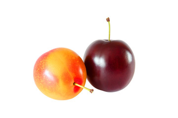 whole yellow and purple plum isolated on white background with clipping path